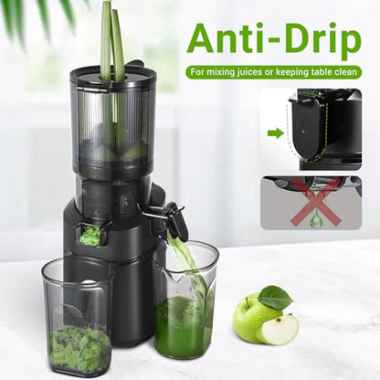 AMZCHEF Juicer Automático 5.3'' com Pressão Fria e Motor de 250W (Preto)