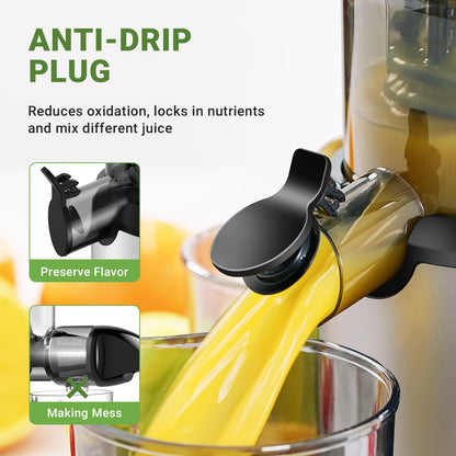 AMZCHEF Slow Juicer 80MM Chute, Alta Eficiência para Frutas e Vegetais (Prata)