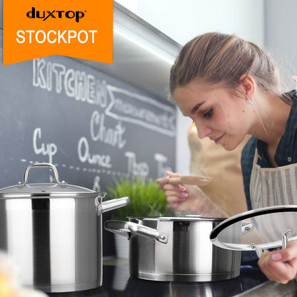 Duxtop Stockpot de Aço Inoxidável 4.2Qt com Tampa de Vidro, Pronto para Indução