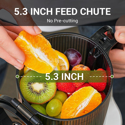 AMZCHEF Juicer Automático Masticating 250W com Abertura de 135mm (Prata)