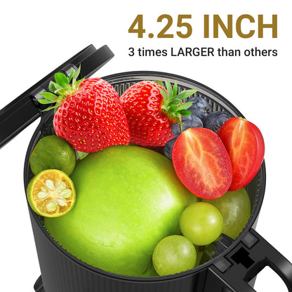 Amzchef Juicer Slow Masticating com Chute Grande 4.25" (Cinza Claro)