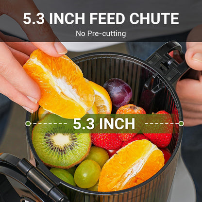 AMZCHEF Espremedor Automático com 250W para Frutas e Vegetais (Cinza)