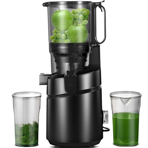 AMZCHEF Juicer Automático 5.3'' com Pressão Fria e Motor de 250W (Preto)